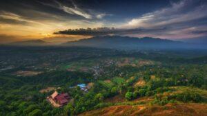 view
